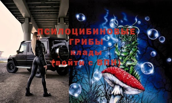гидра Алексеевка