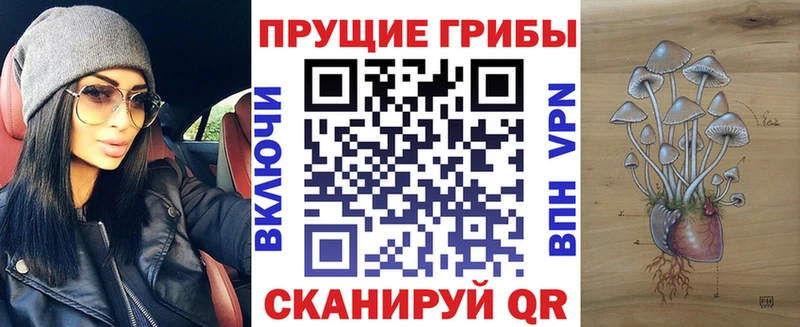 где можно купить Палласовка Псилоцибиновые грибы Psilocybe